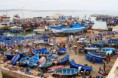 /album/fotogaleria/essaouira-harbour-jpg/