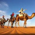 /album/fotogaleria/morocco-camel-trekking-jpg/