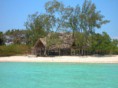 /album/fotogaleria/safari-blu-jpg/