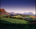 /album/fotogaleria/view-on-the-big-5-wine-jpg/